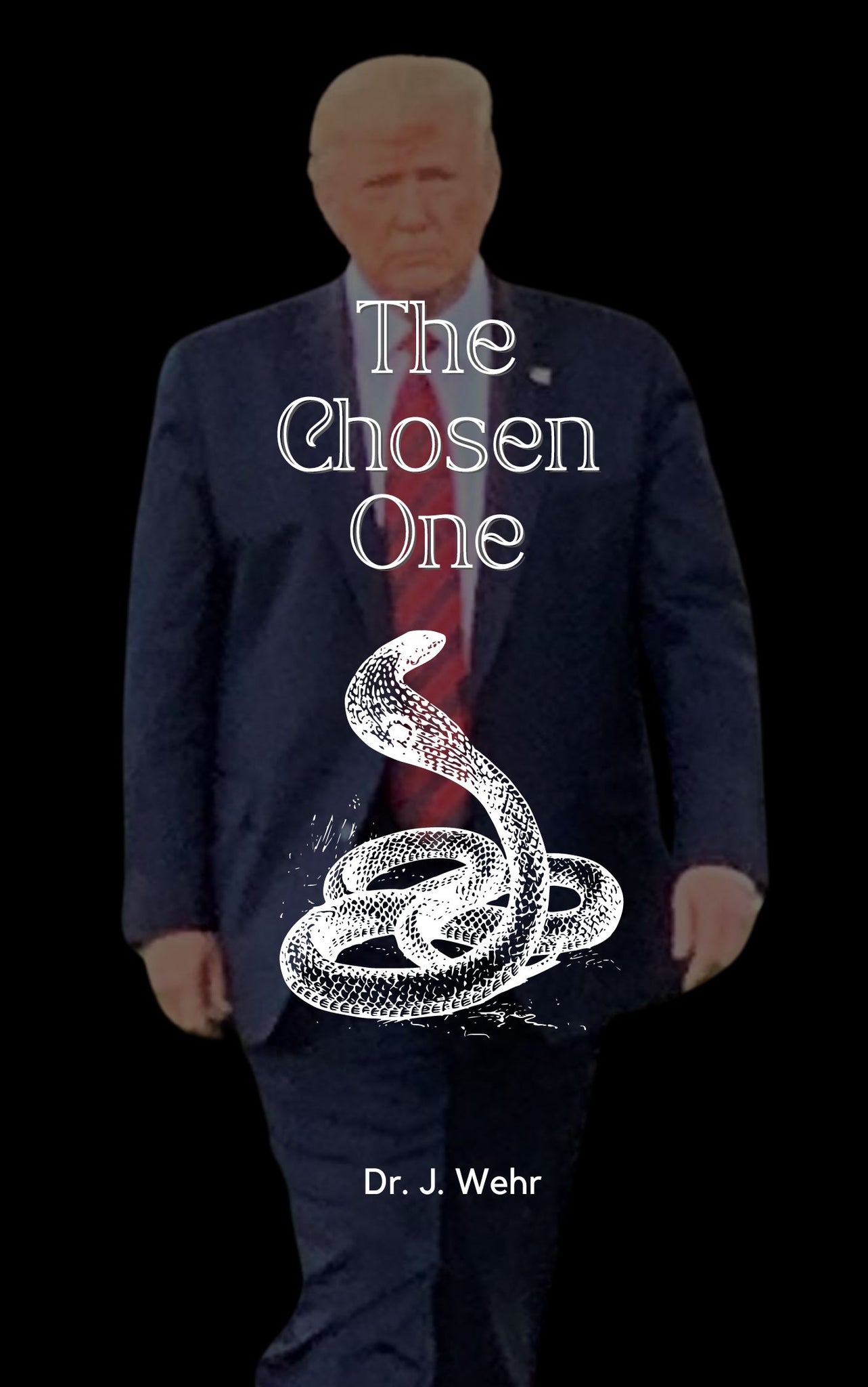 The Chosen One - White House Trilogy #2