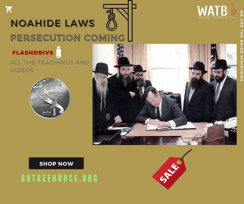 Understand the Noahide Laws